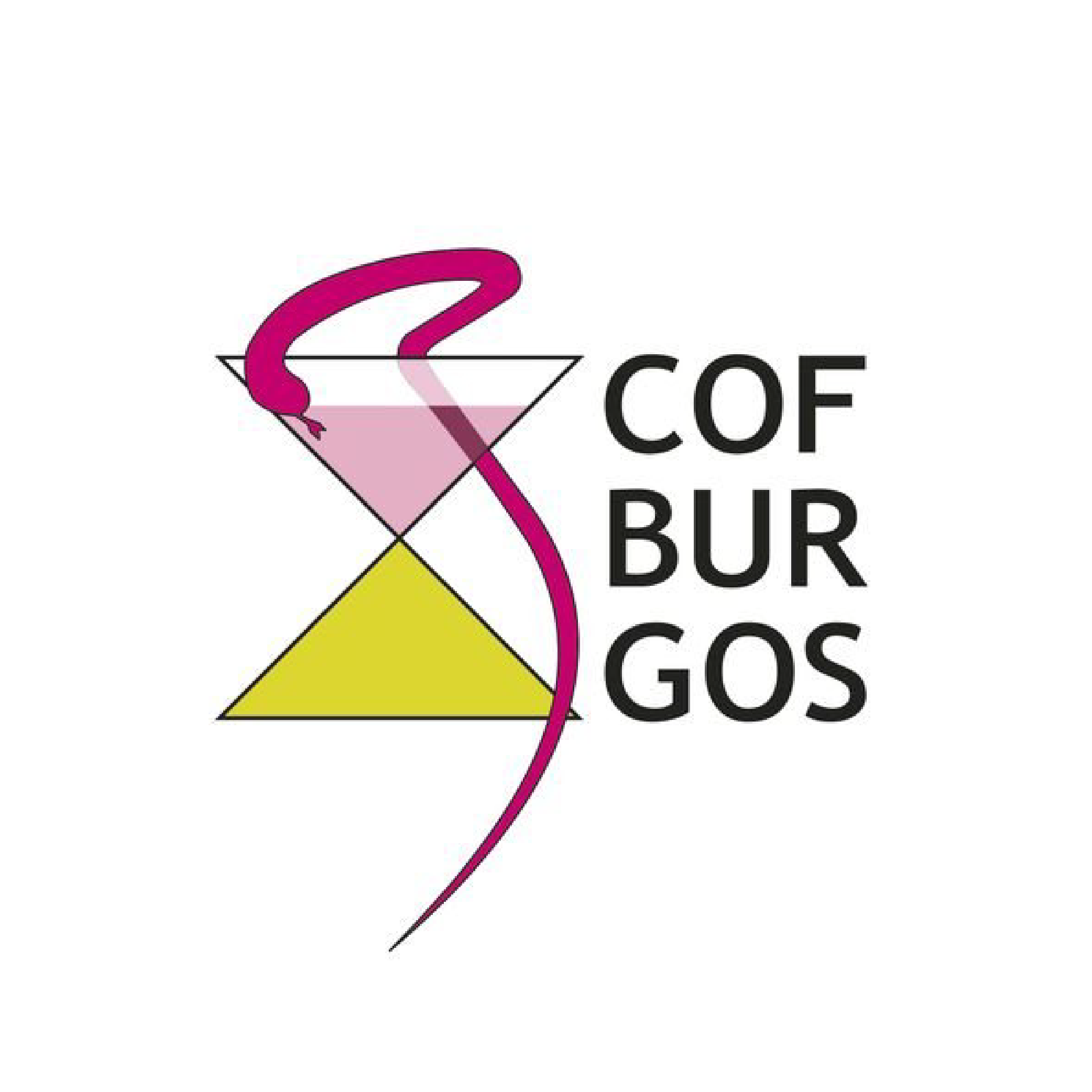 COF Burgos